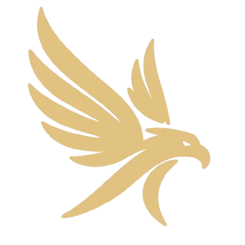Falcon Chips and AI - project by Getintoto Software